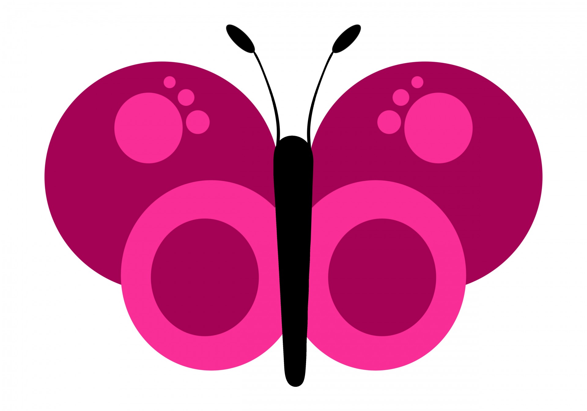butterfly clip art colors free photo