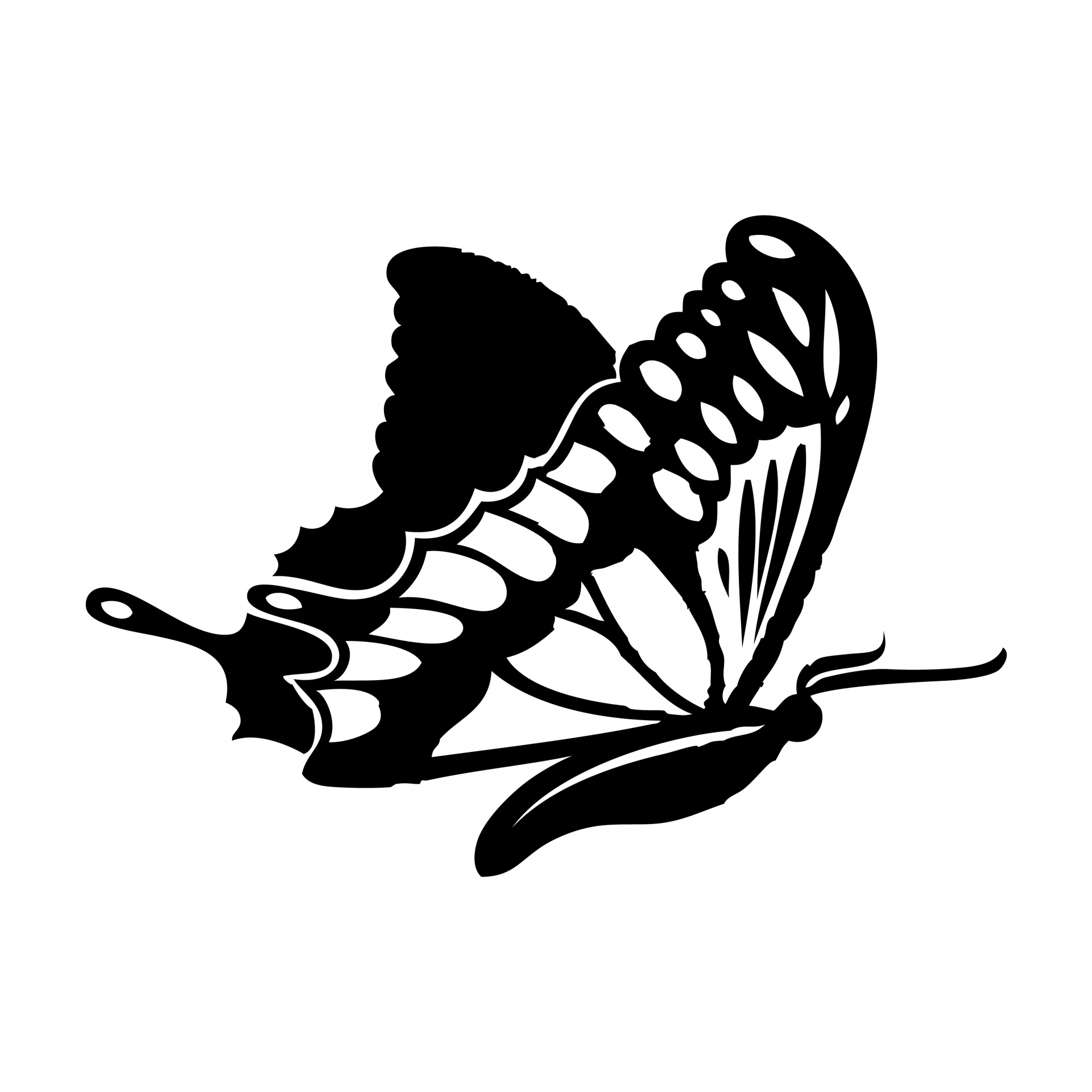 butterfly clipart art free photo