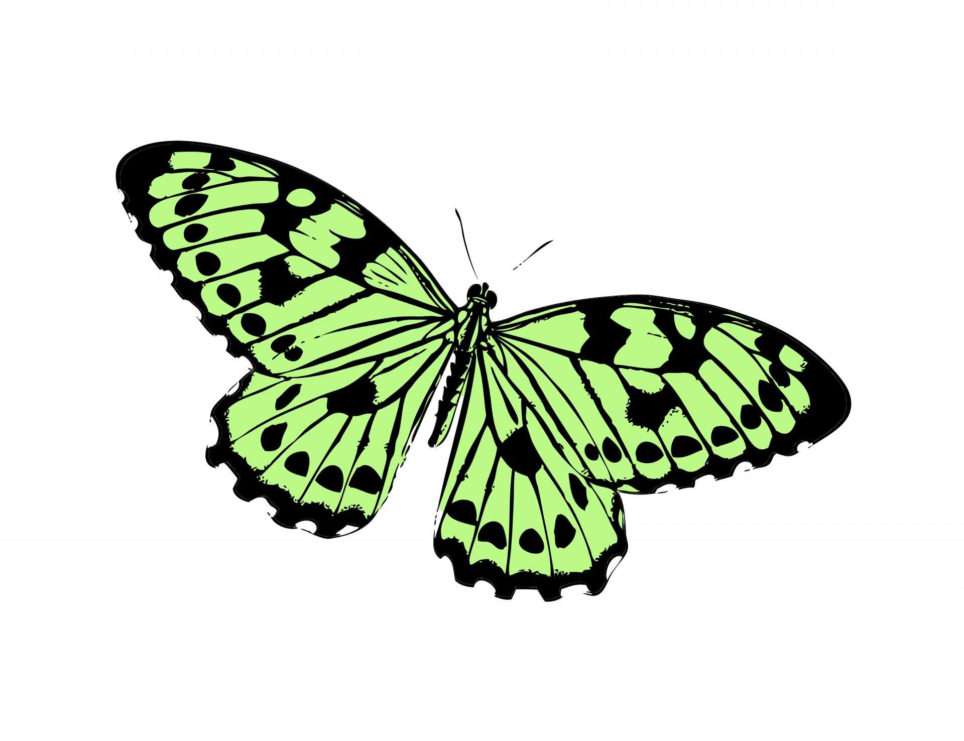 green butterflies clipart