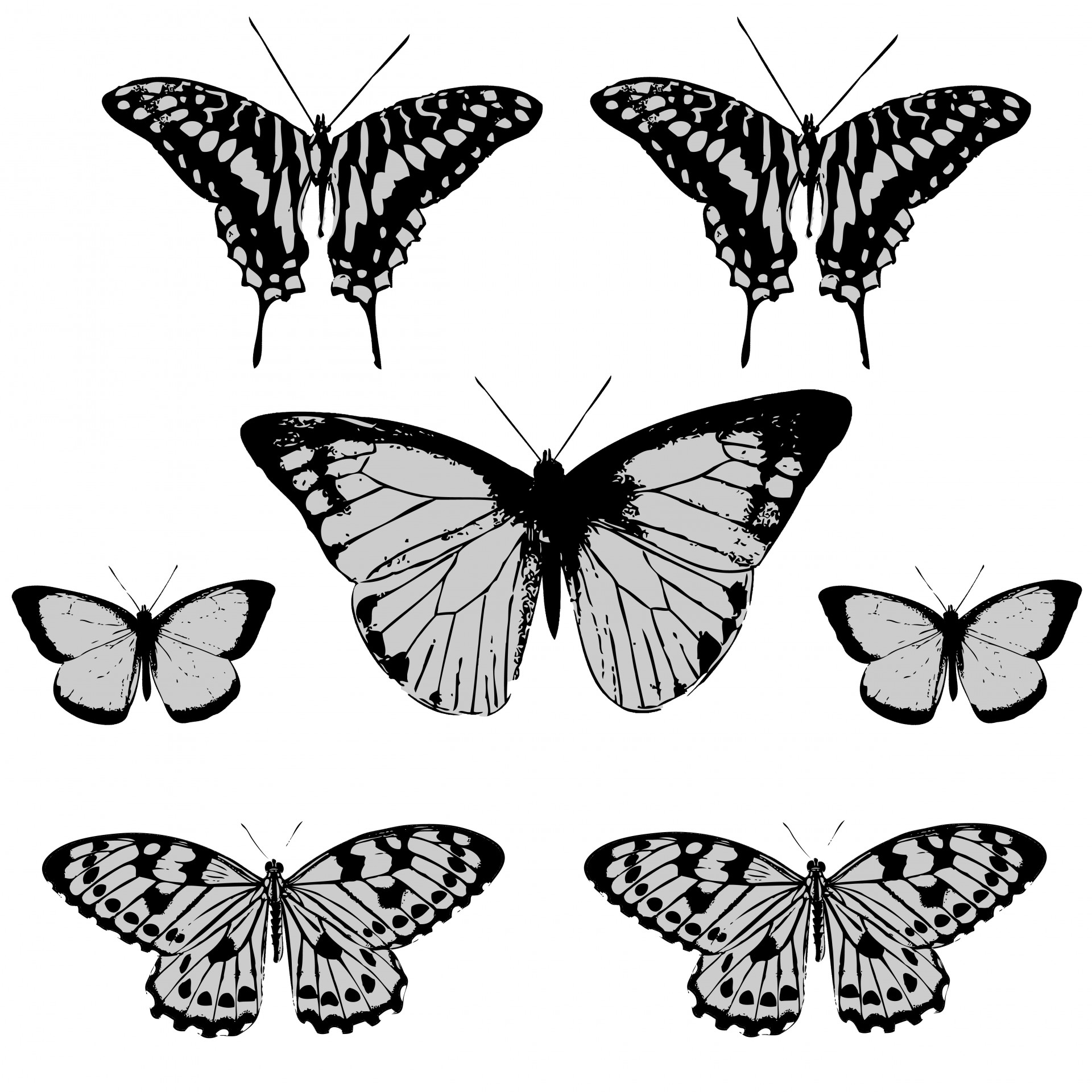 Butterfly Butterflies Clipart Art Illustration Free Image From