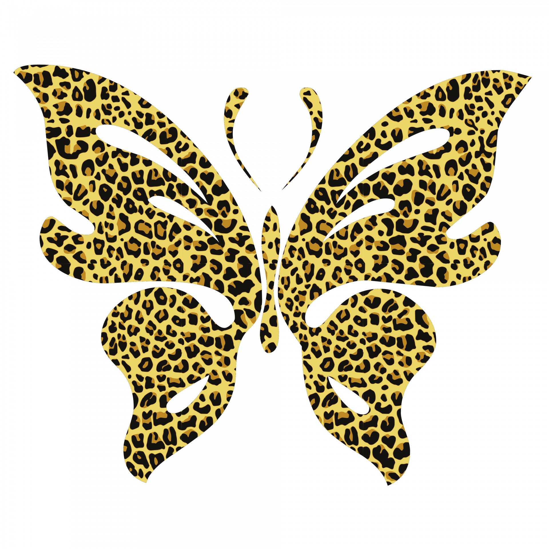 butterfly drawing jaguar free photo