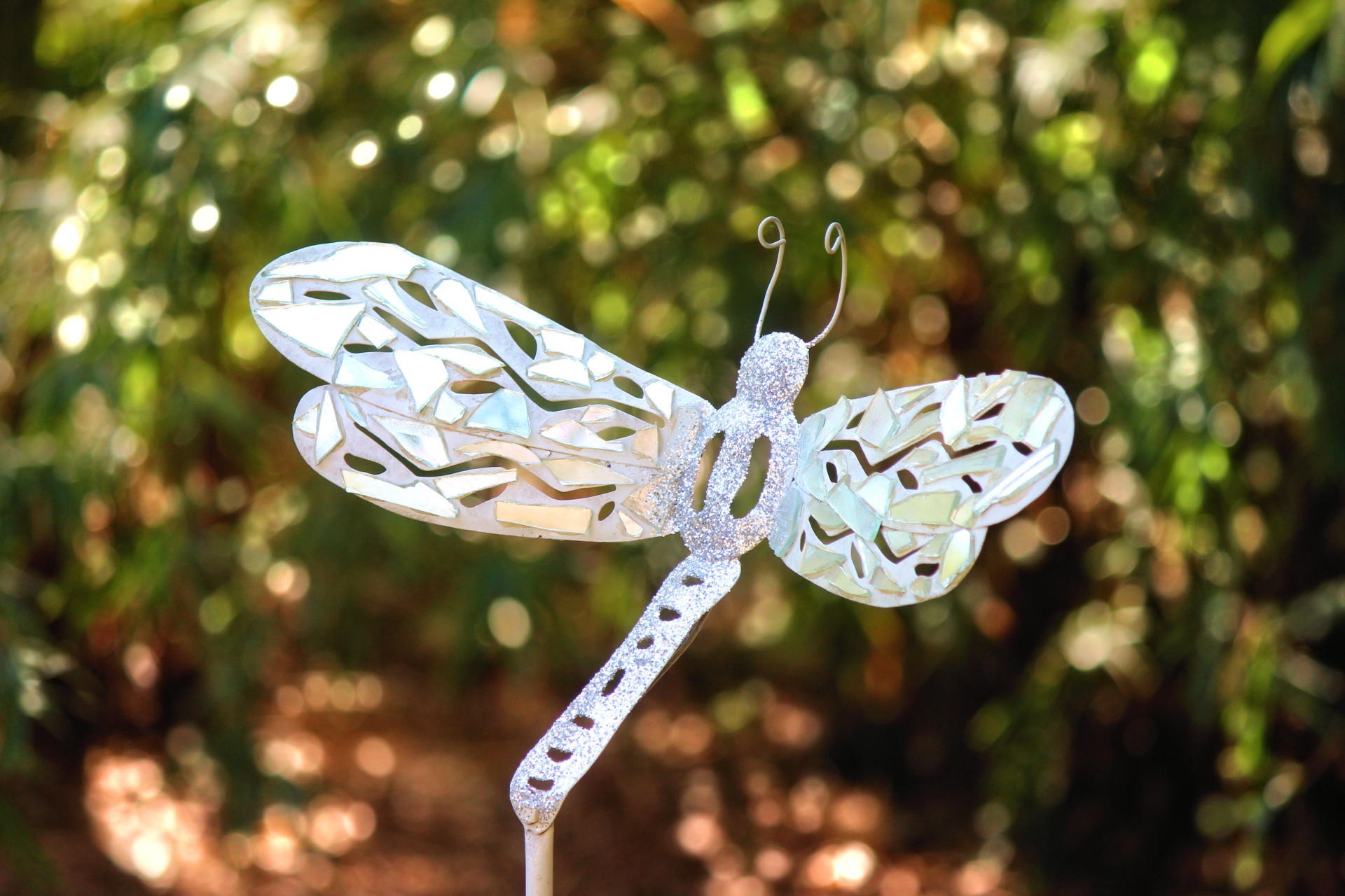 butterfly art glass free photo