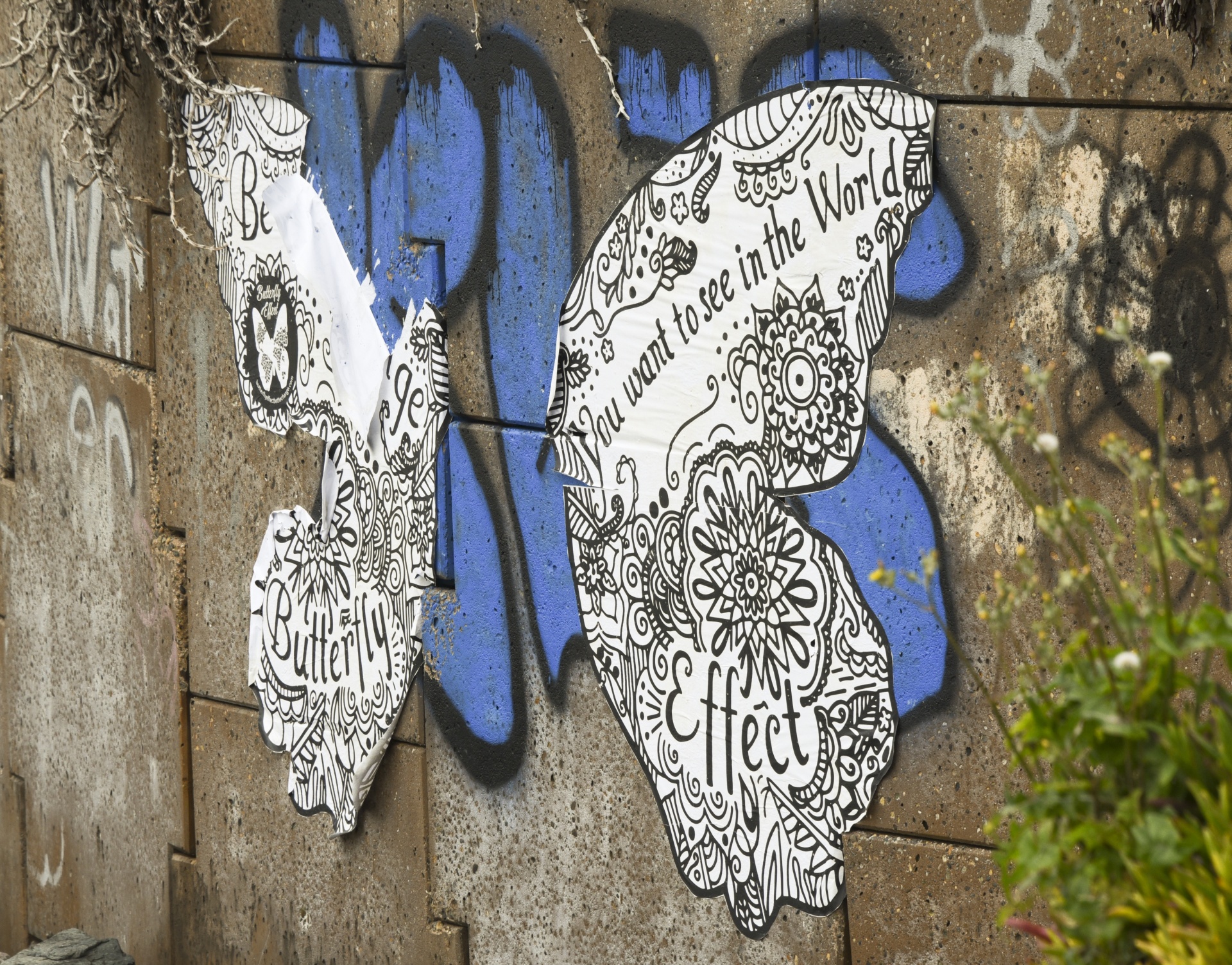 graffiti butterfly painted free photo