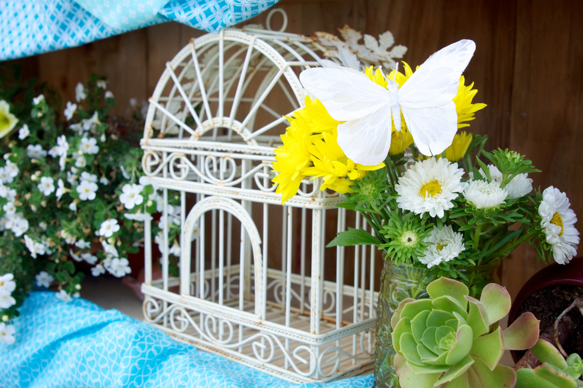 birdcage bouquet butterfly free photo