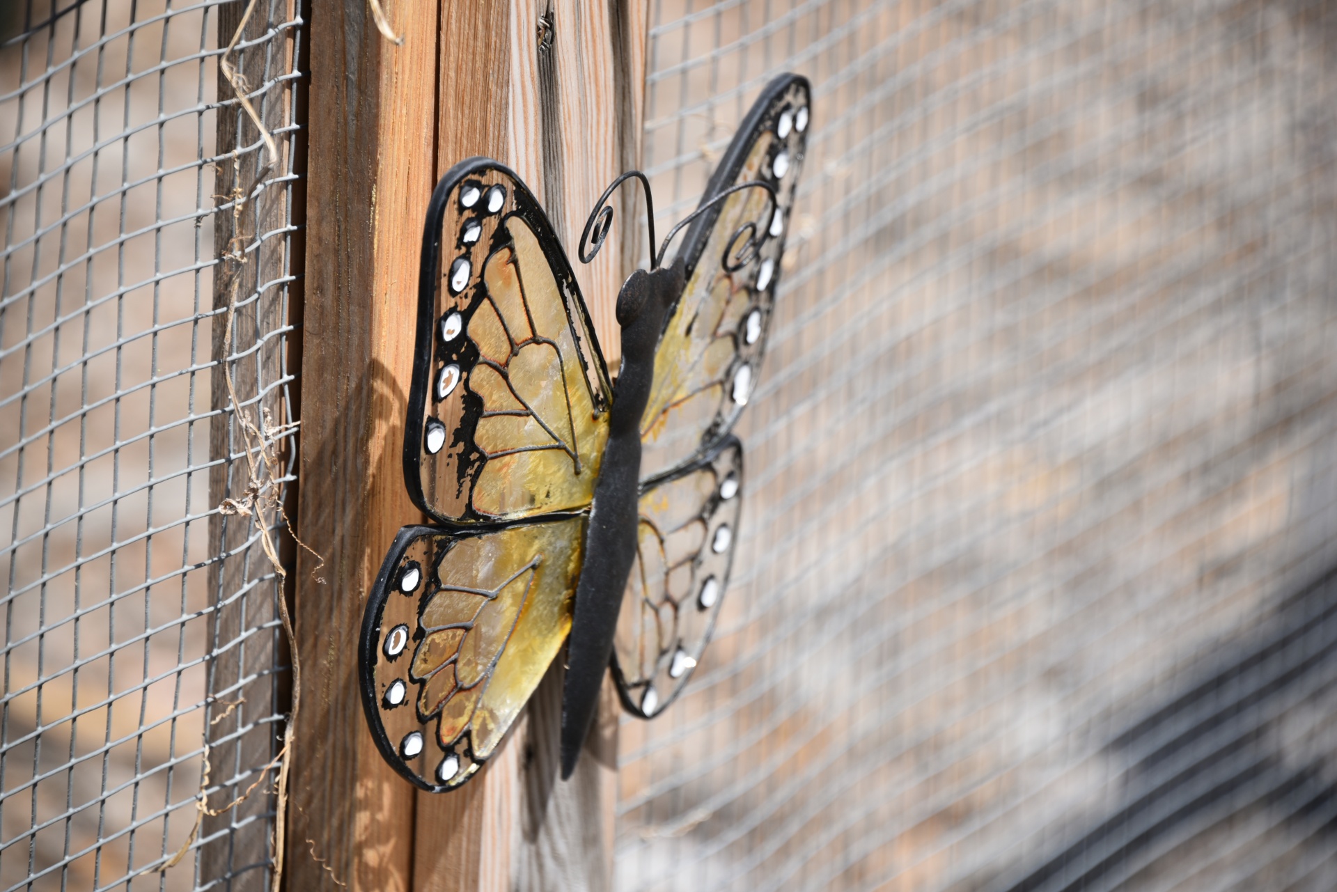 garden butterfly fence free photo