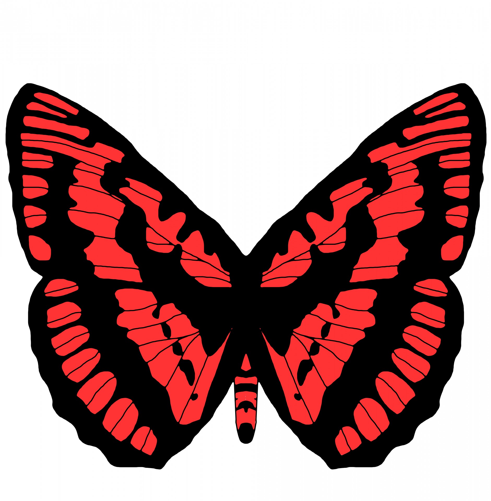 butterfly outline illustration free photo