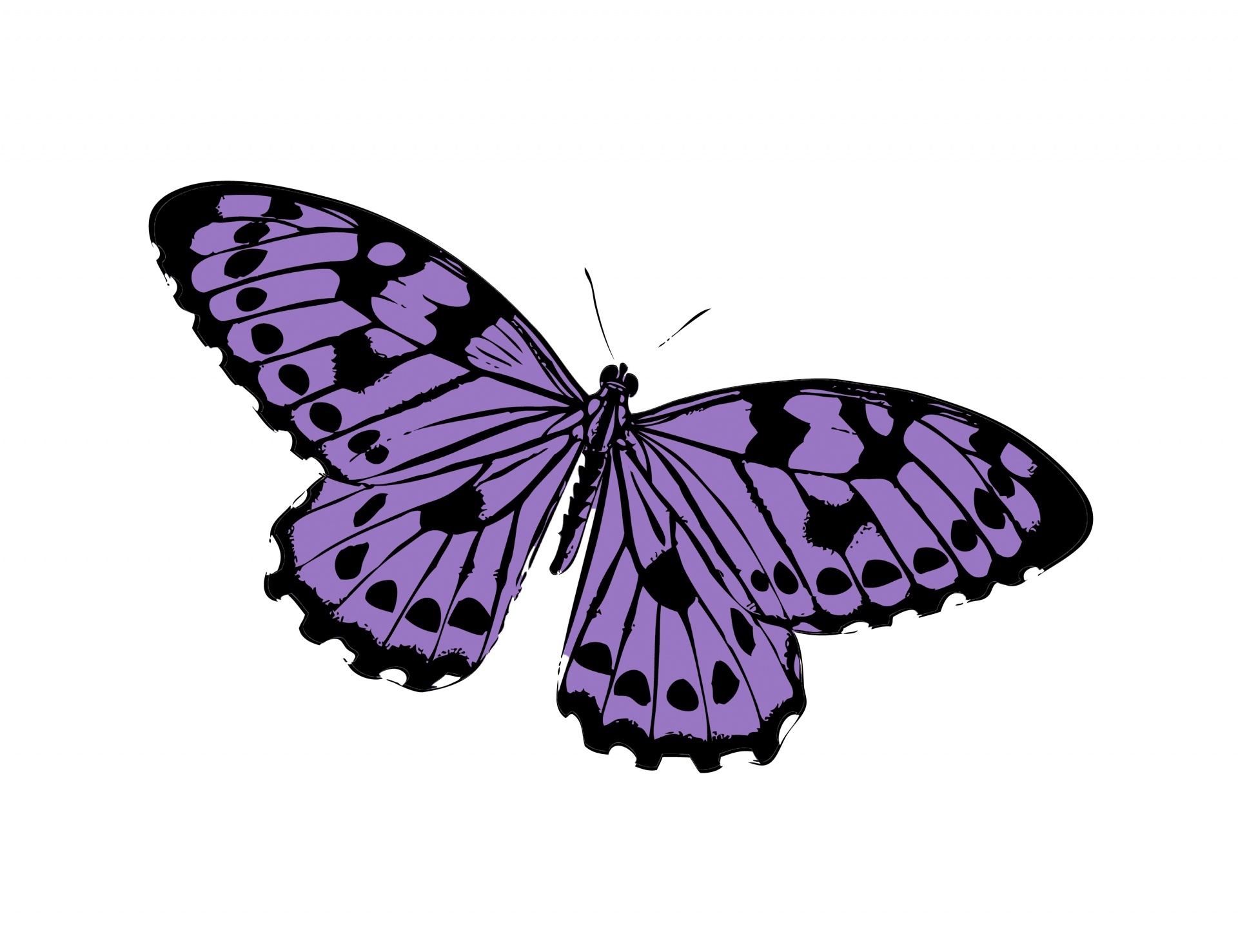butterfly purple clipart free photo