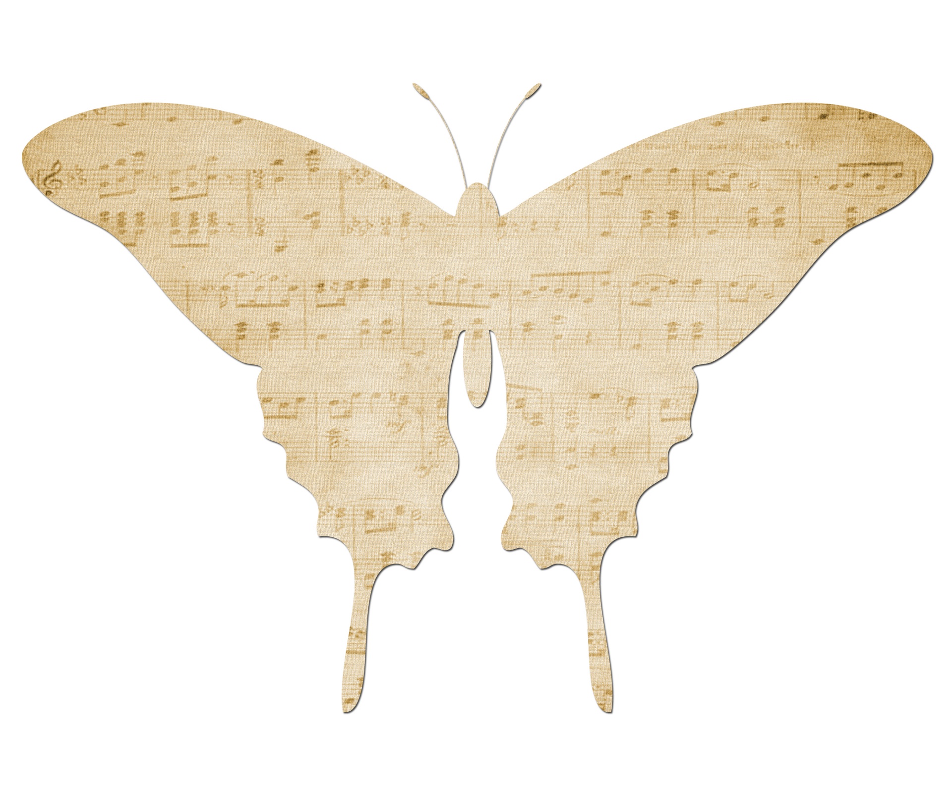 butterfly sheet music score free photo
