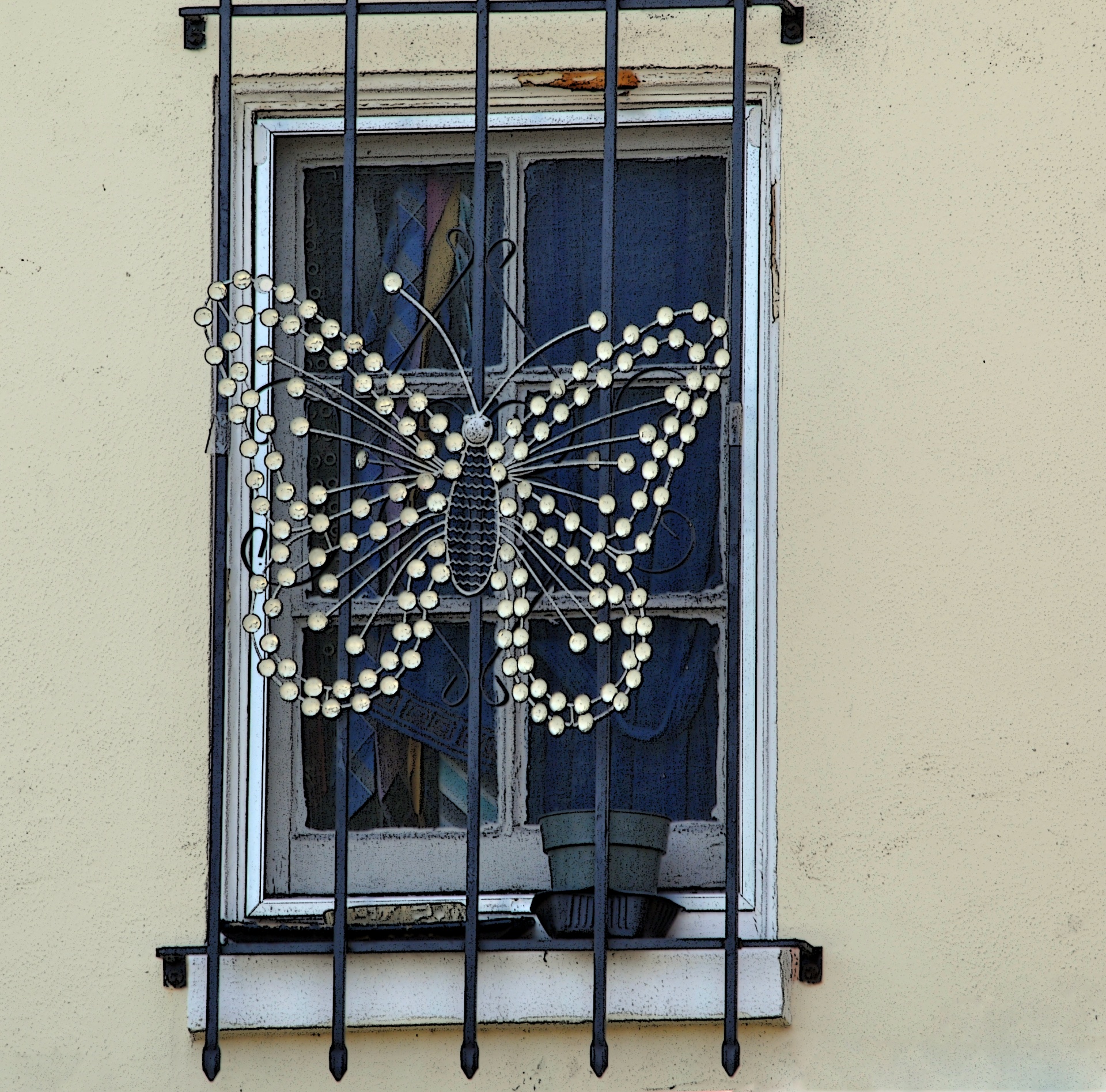 butterfly light window free photo