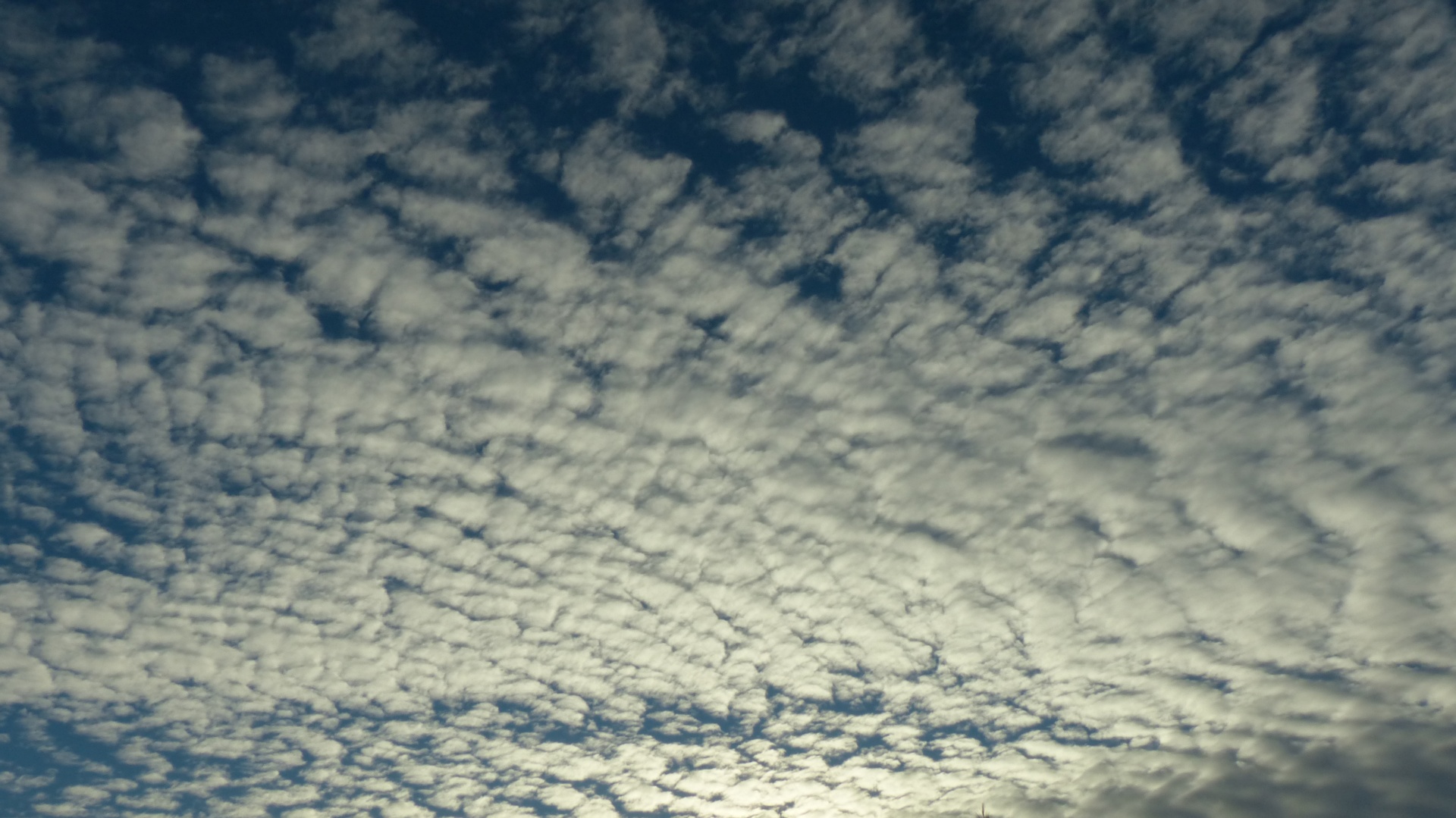 clouds buttermilk white free photo