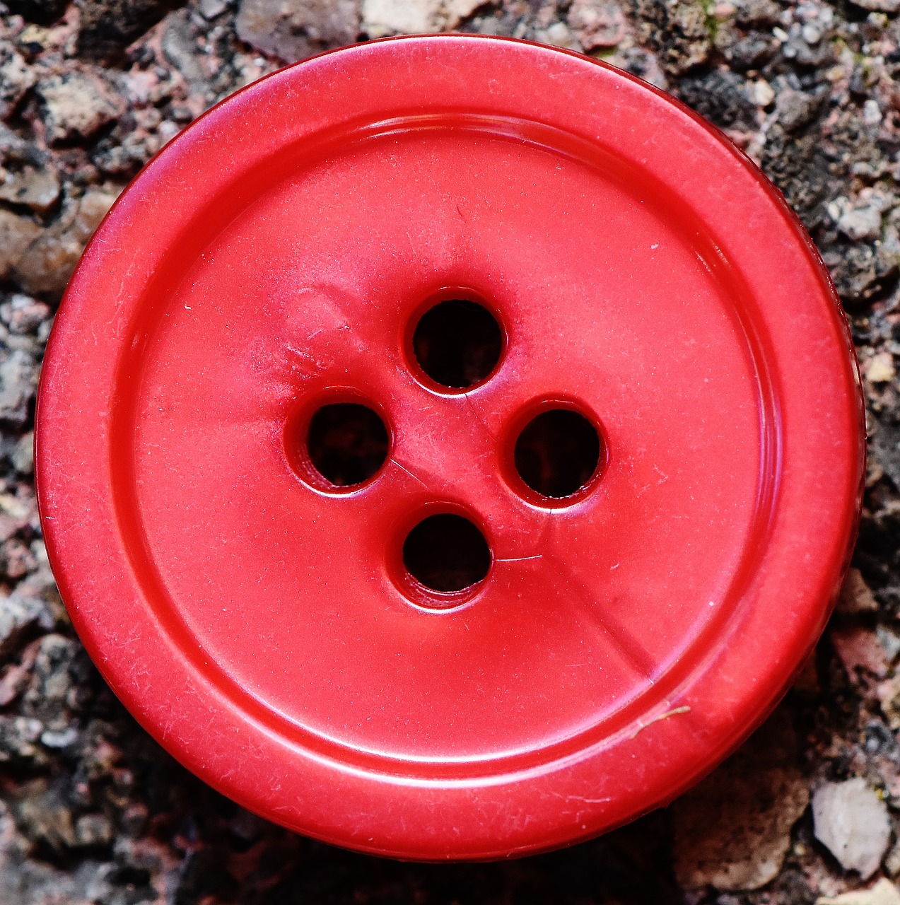 buttons 4 holes red free photo