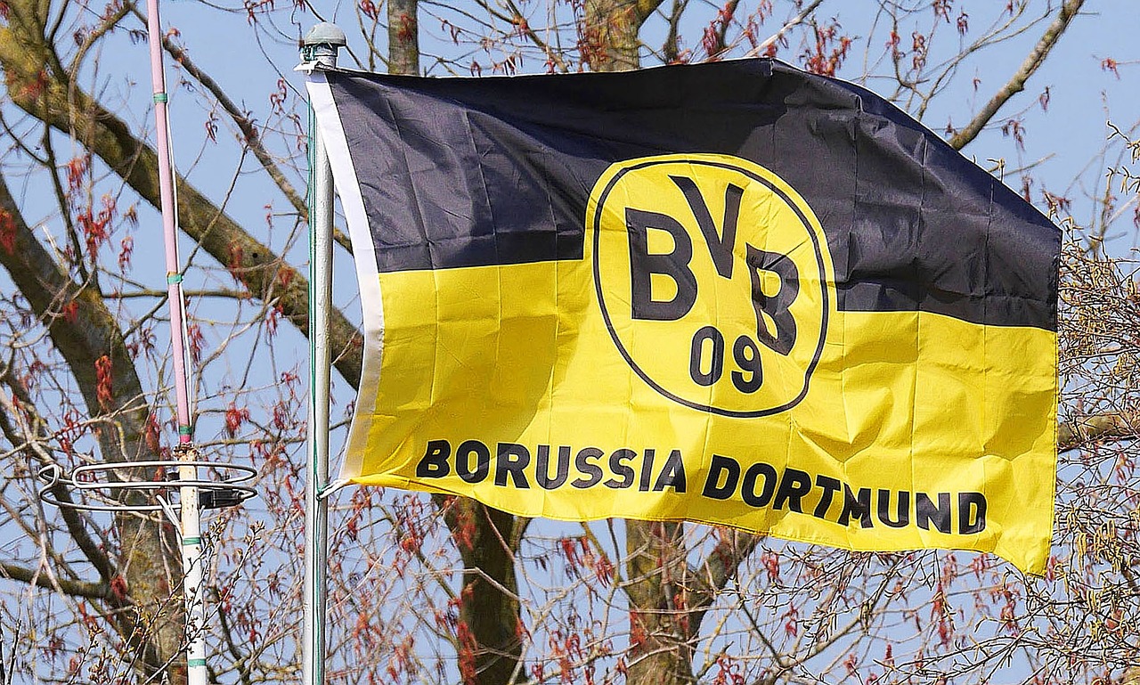bvb club flag black yellow free photo