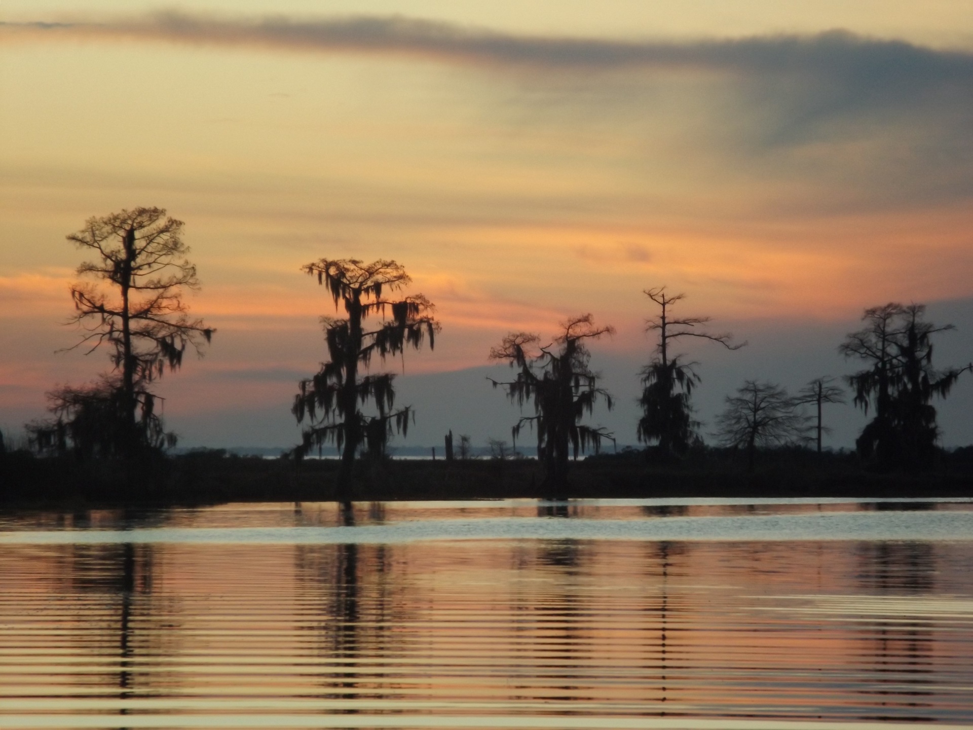 river evening water free photo