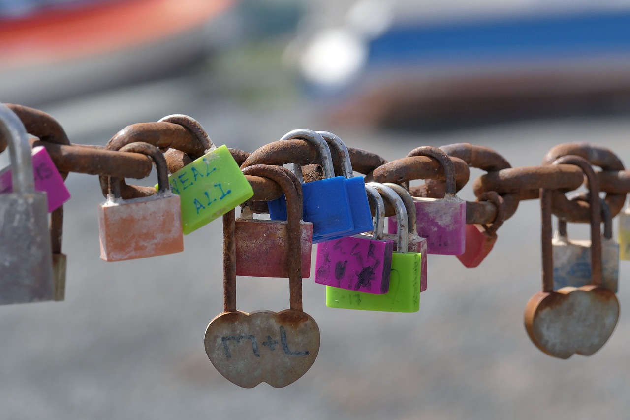 by wlodek  padlocks  happiness free photo