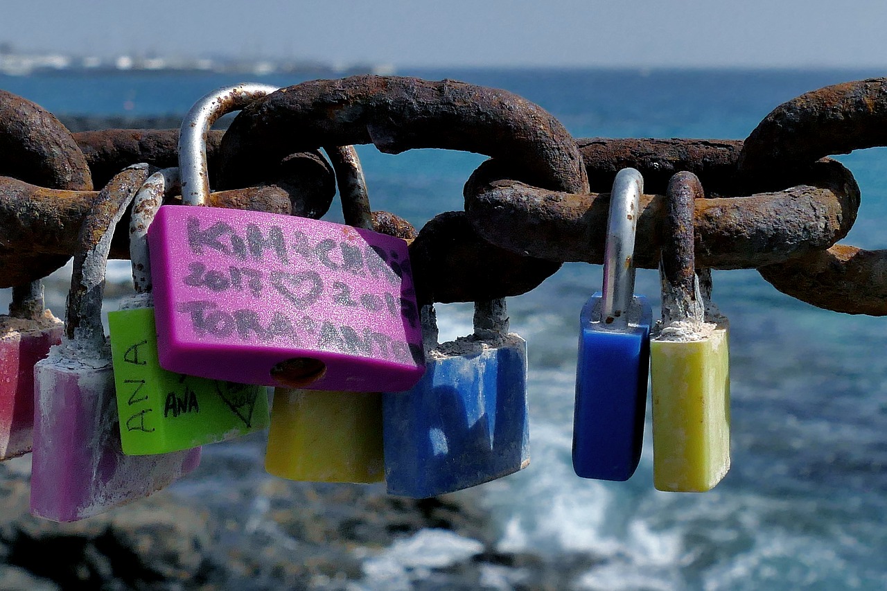 by wlodek  padlocks  happiness free photo