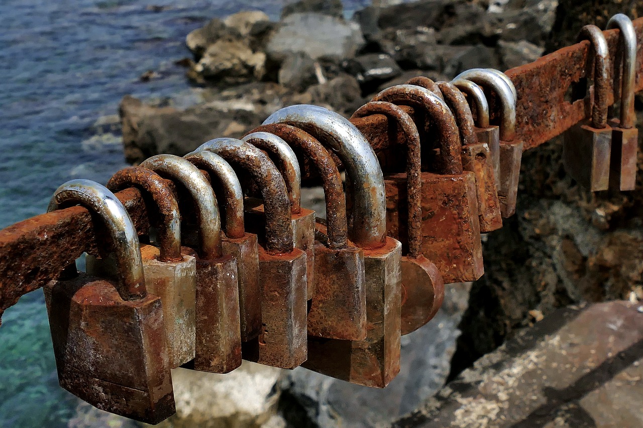 by wlodek  padlocks  happiness free photo