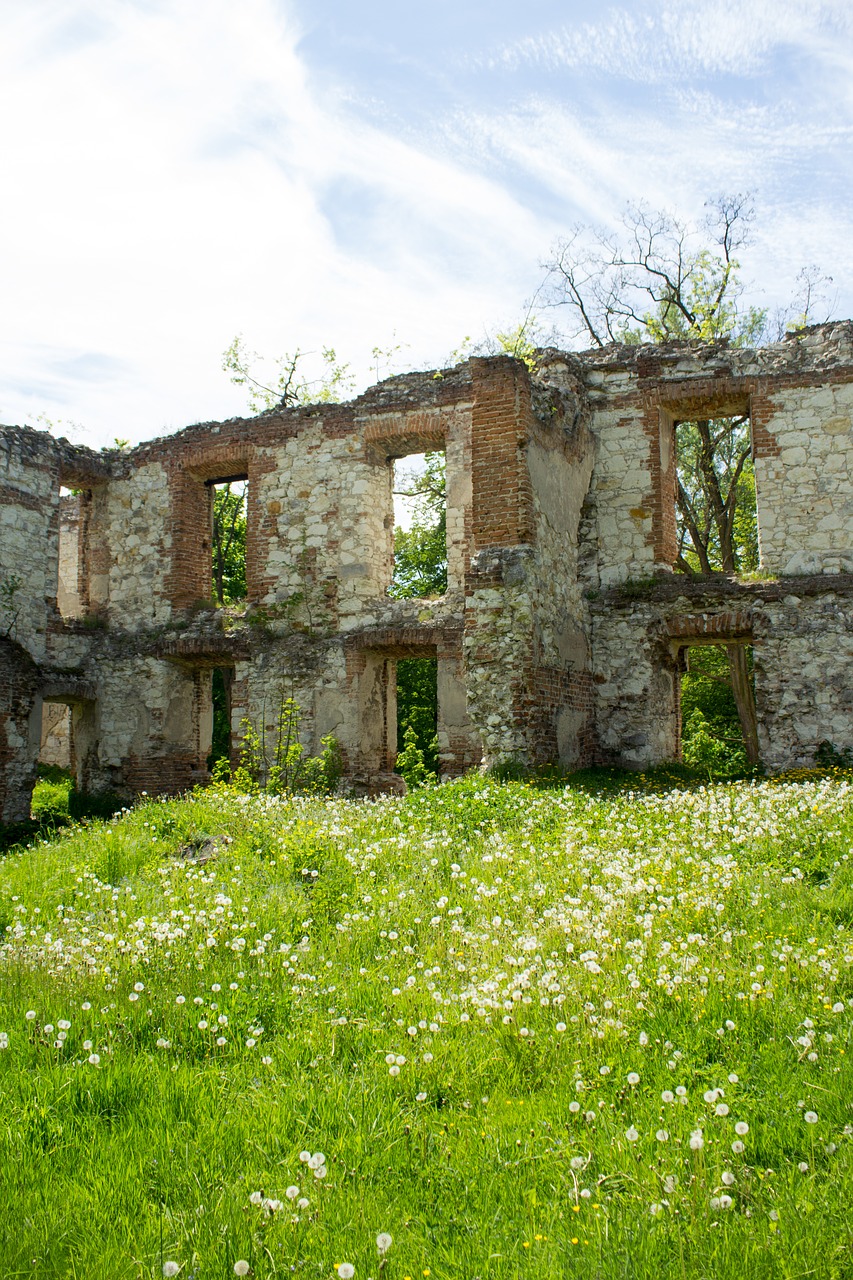 bychawa the ruins of the castle free photo