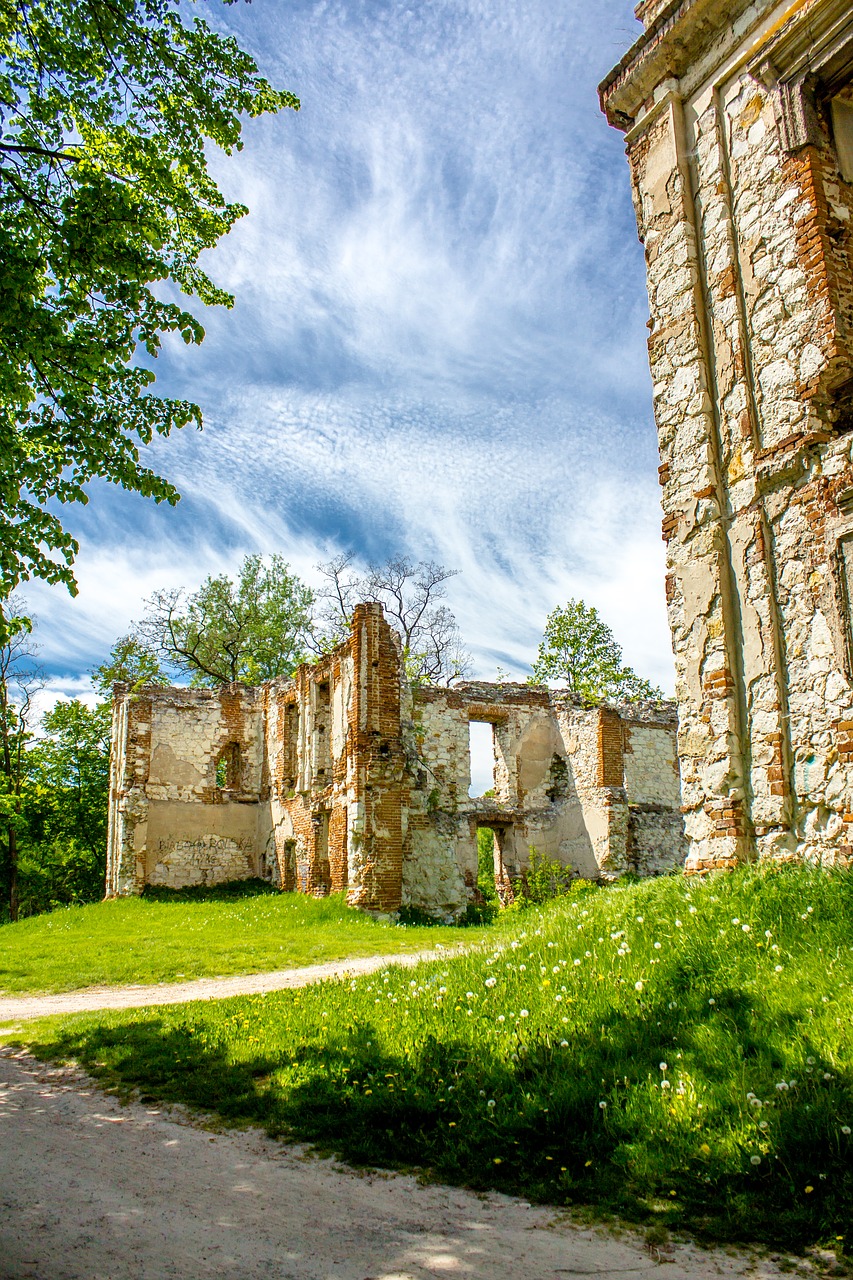 bychawa the ruins of the castle free photo