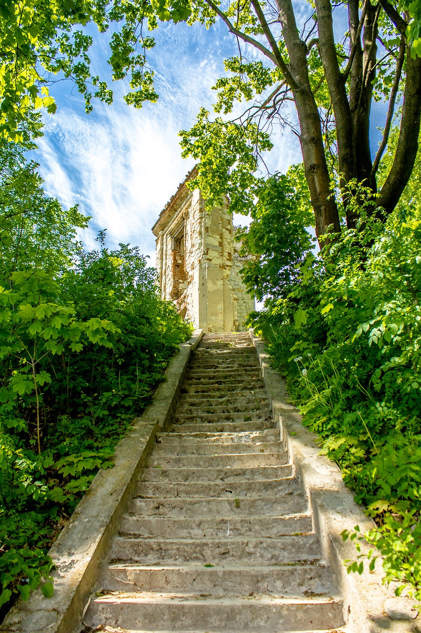 bychawa the ruins of the castle free photo