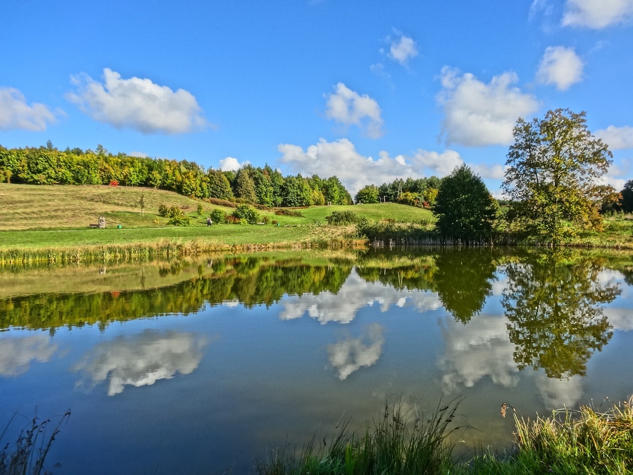 bydgoszcz botanical garden lake free photo