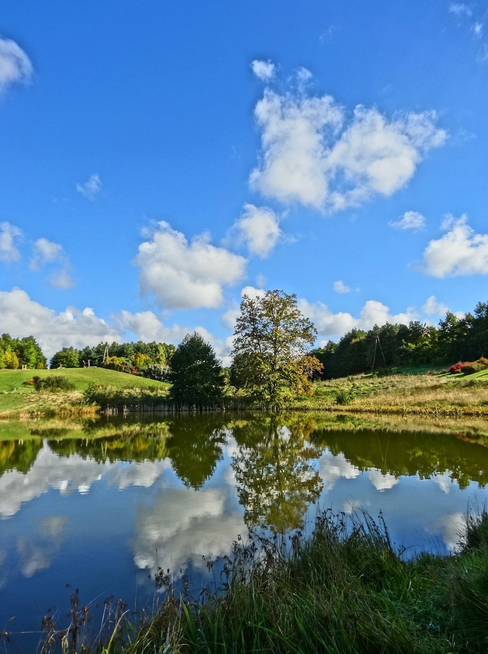 bydgoszcz botanical garden lake free photo