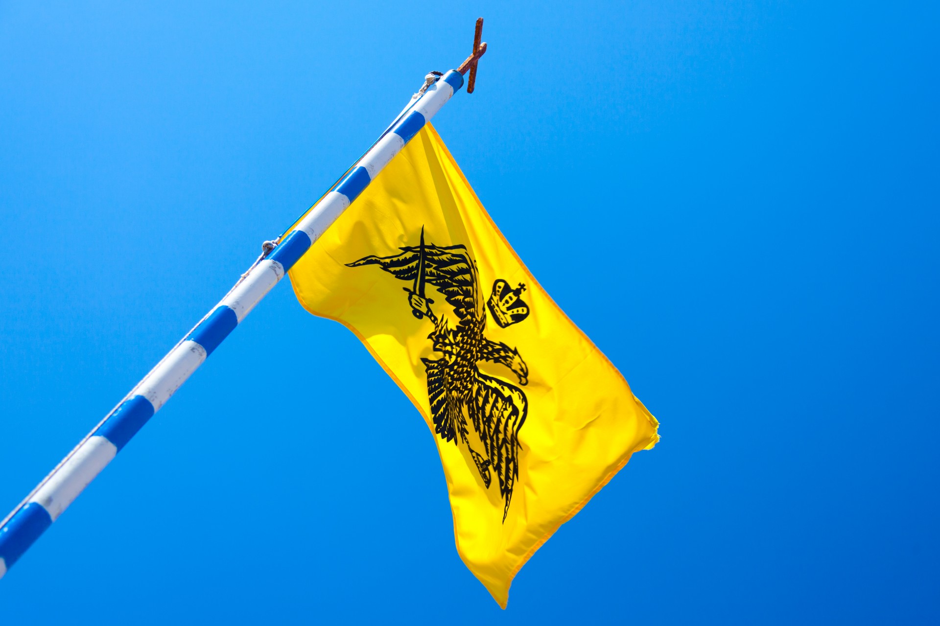 eagle byzantine flag free photo