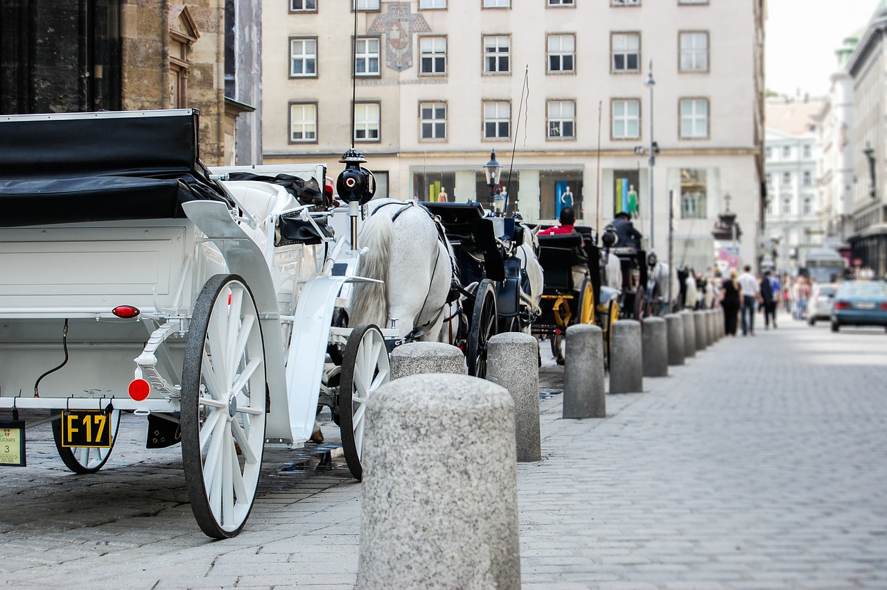 cab cart horses free photo