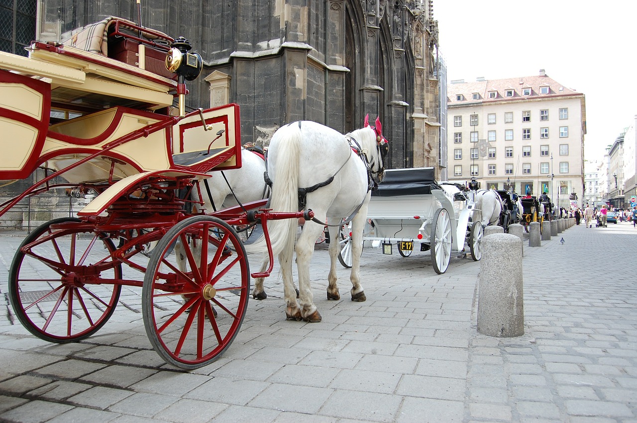 cab cart horses free photo