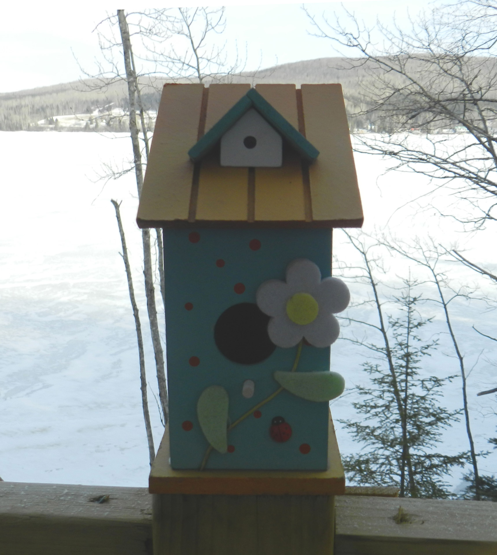 birdhouse birdhouse (1) free pictures free photo