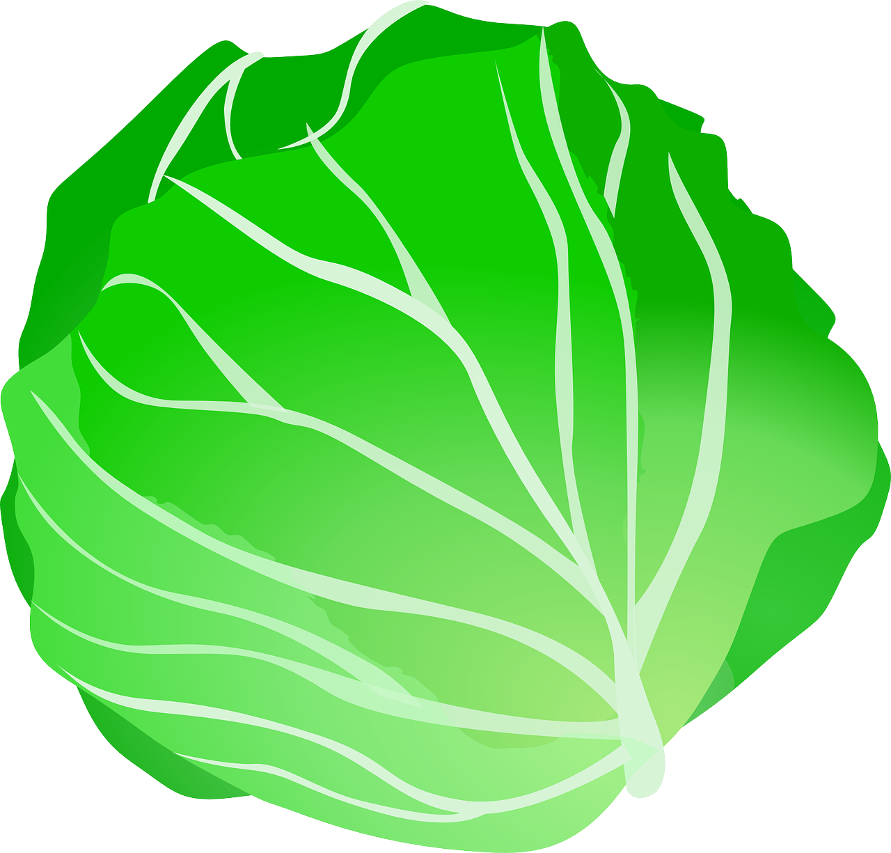 cabbage vegetable food free photo