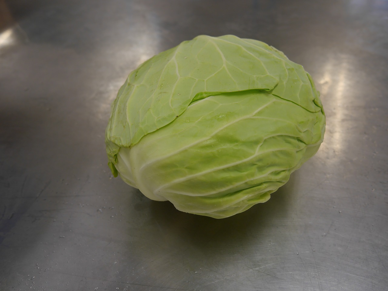 cabbage green round free photo