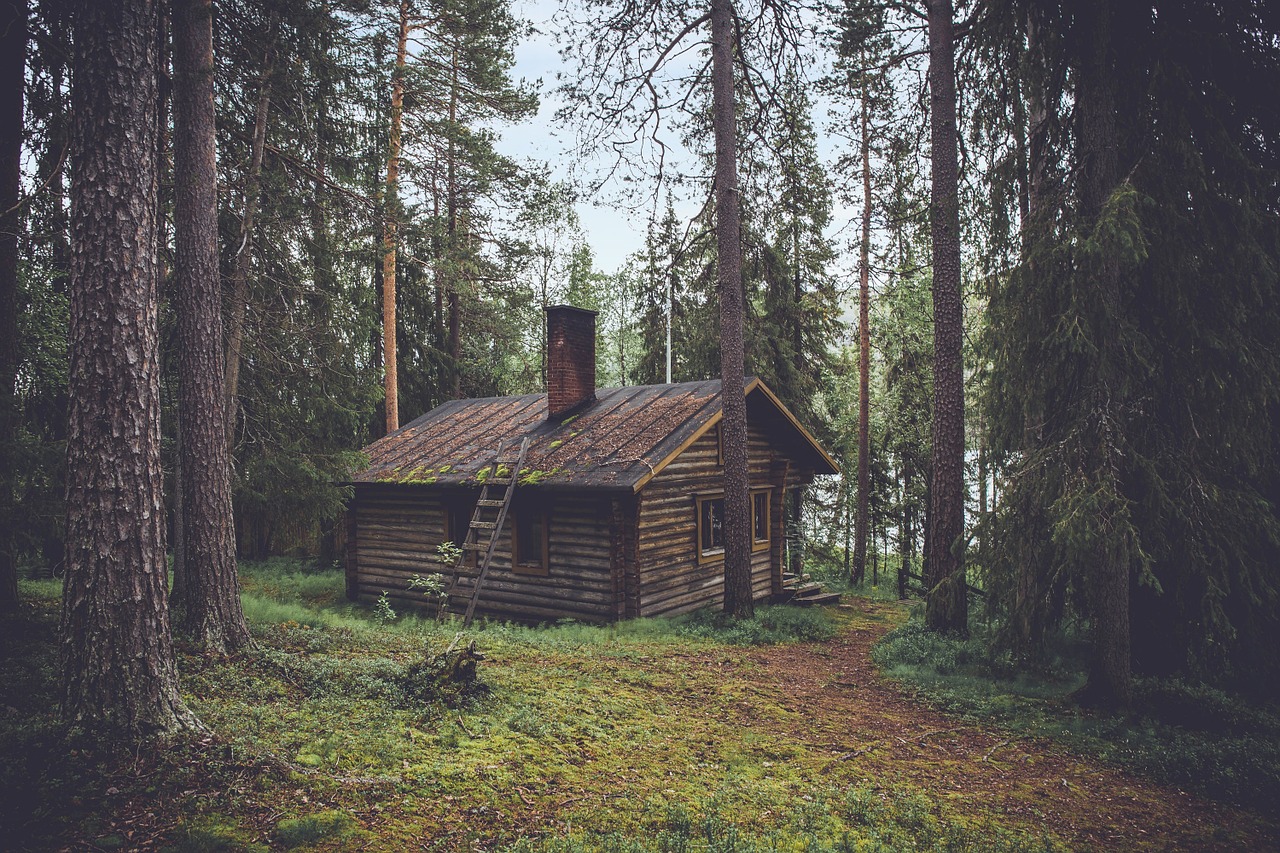 cabin forest seclusion free photo
