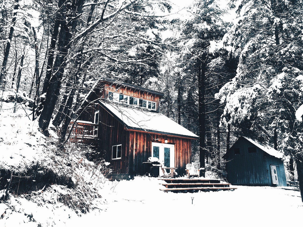 cabin snow forest free photo