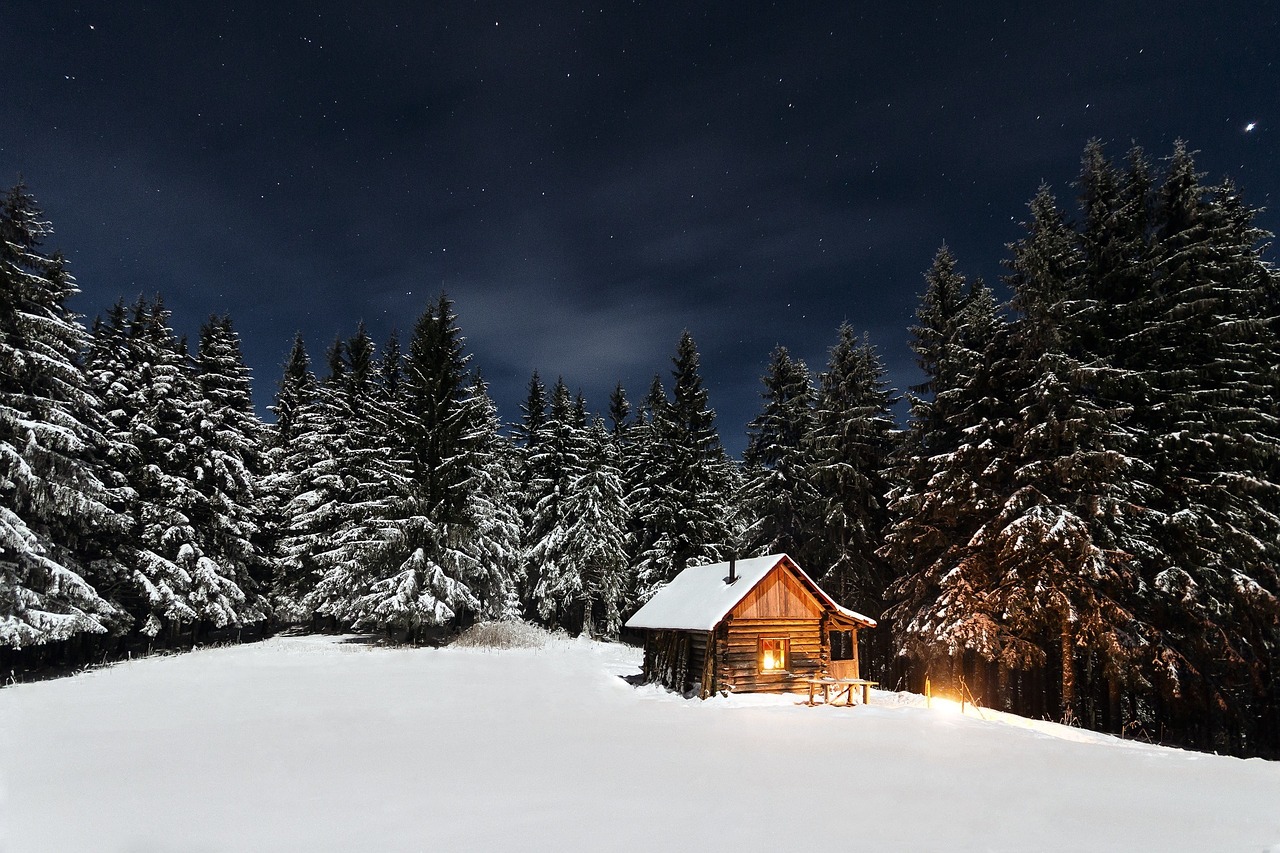cabin pine trees starry night free photo