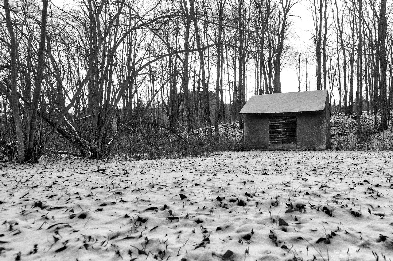 cabin winter snow free photo