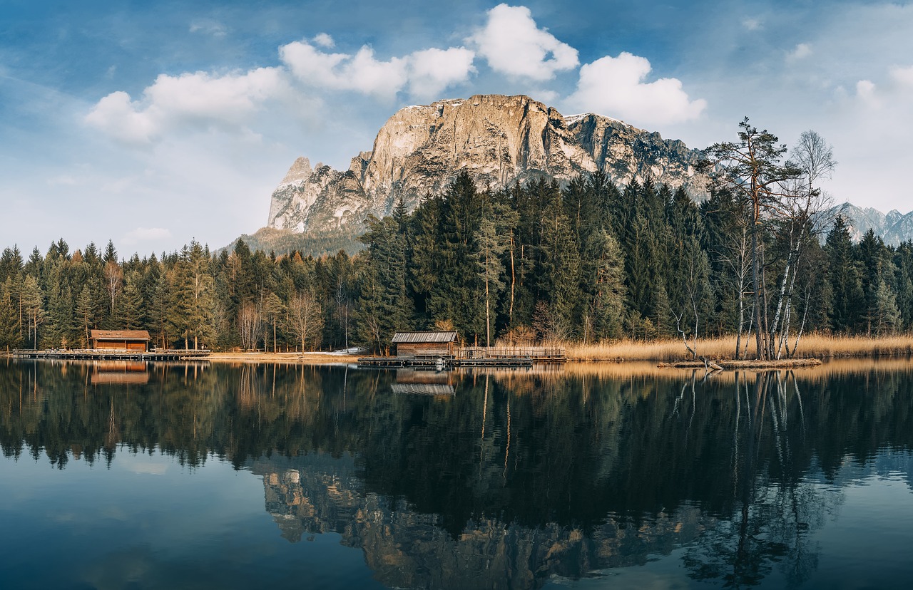 cabin forest lake free photo