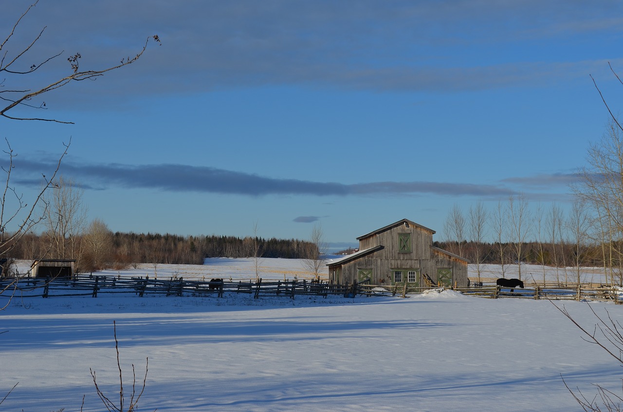 cabin barn winter free photo