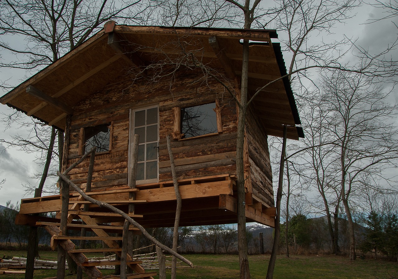 cabin small house boards free photo