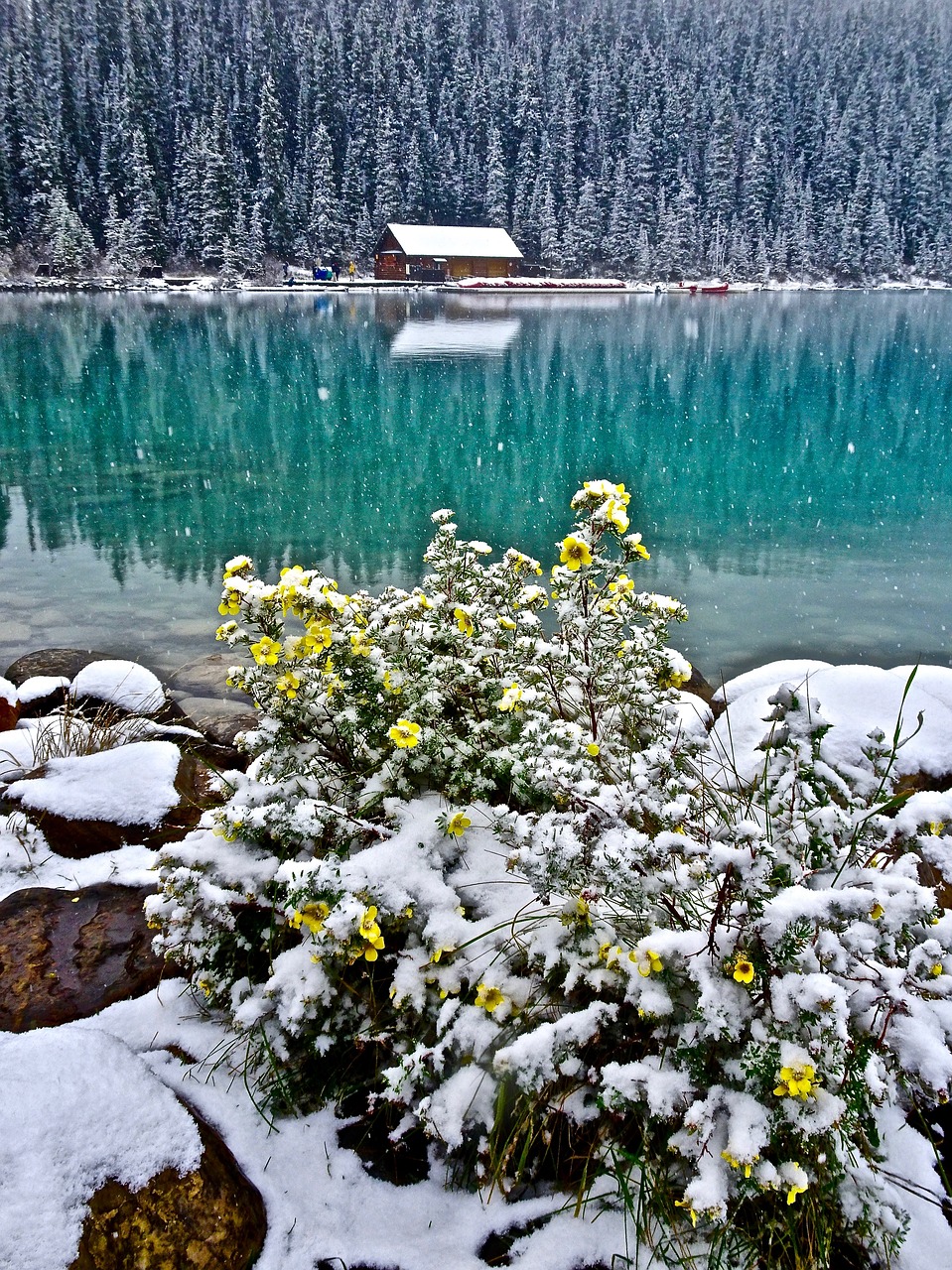 cabin lake water free photo