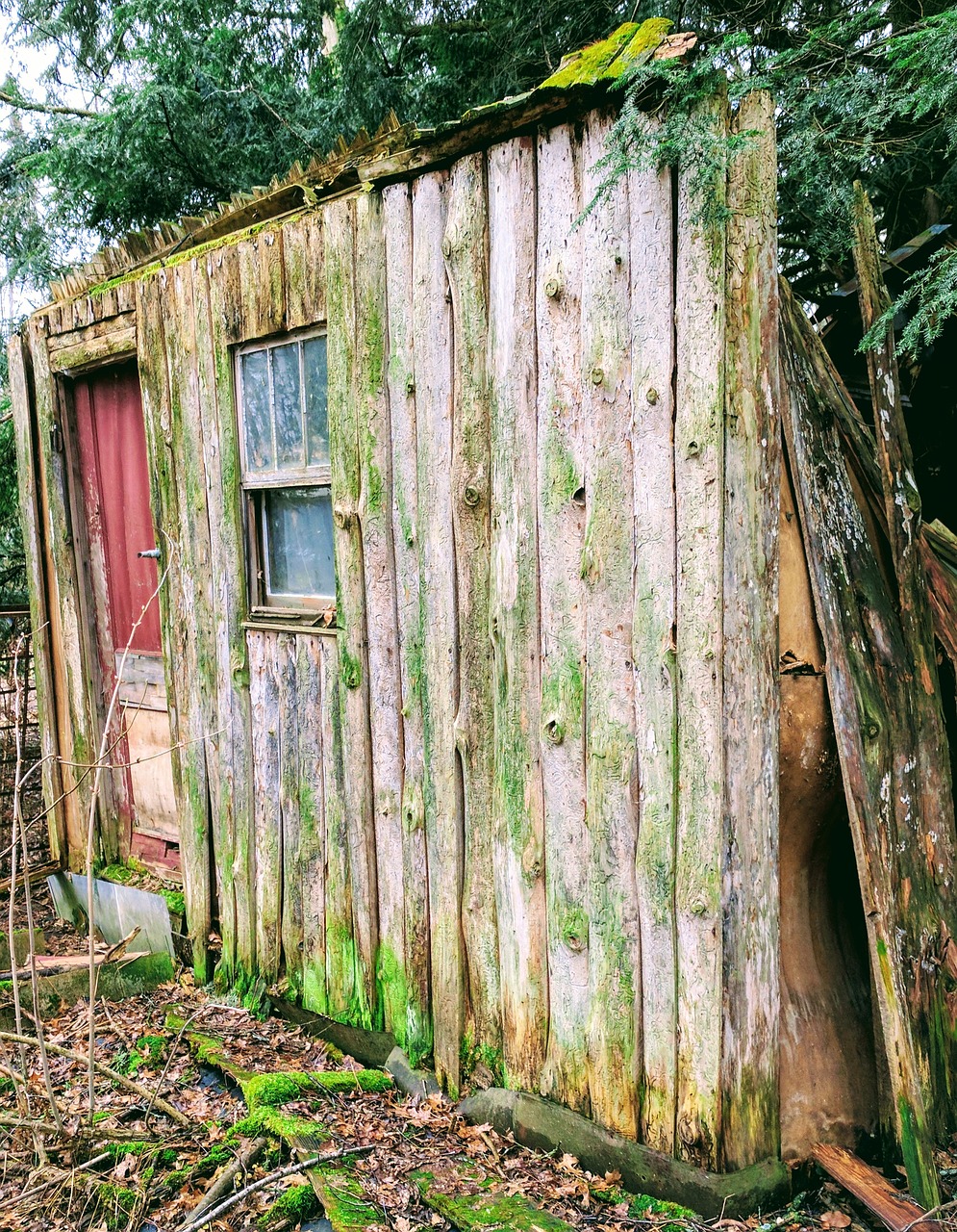 cabin old nature free photo