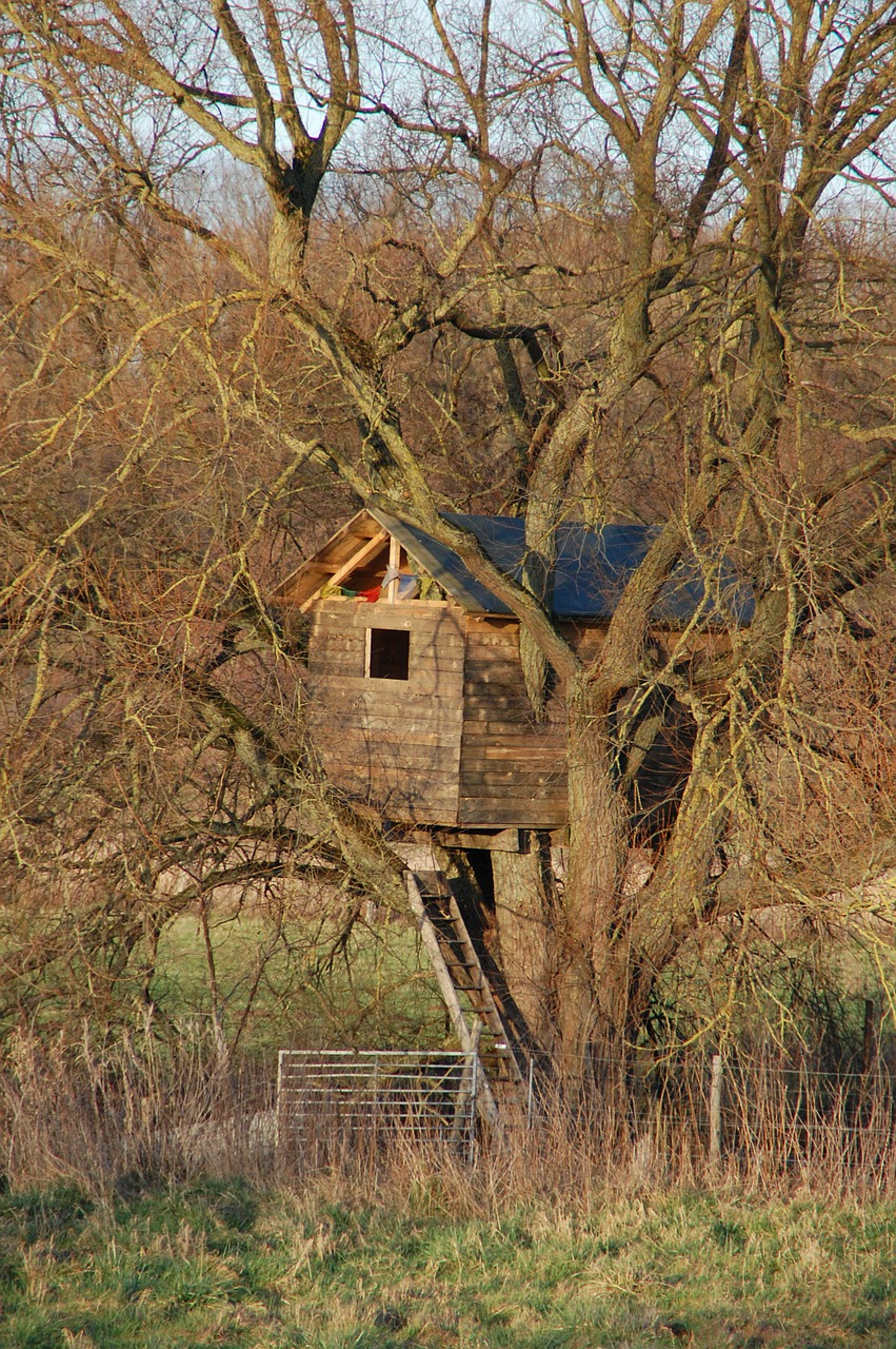 cabin wood treehouse free photo