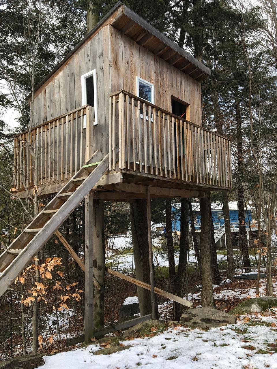 cabin tree child free photo