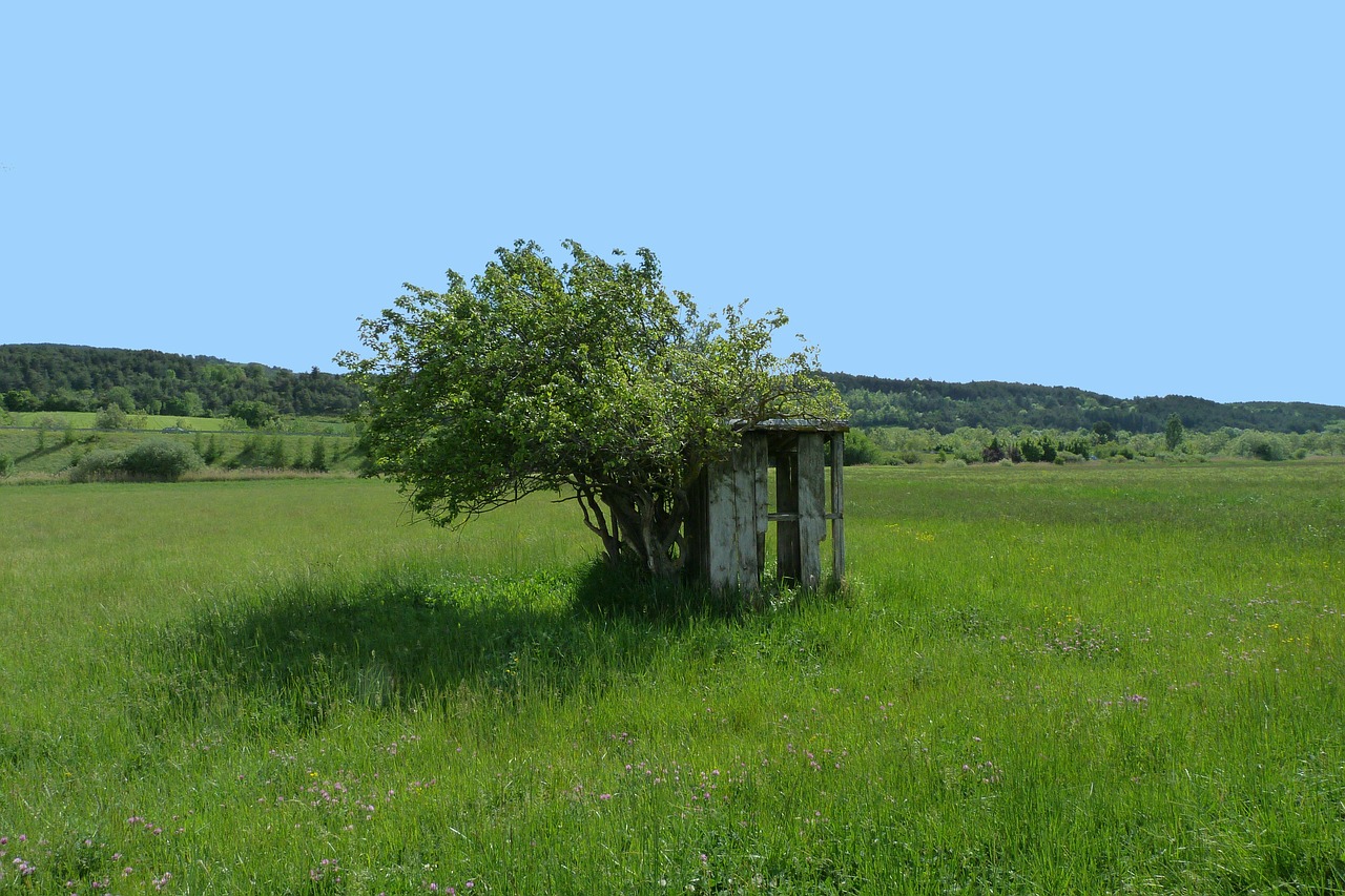 cabin abandoned landscape free photo