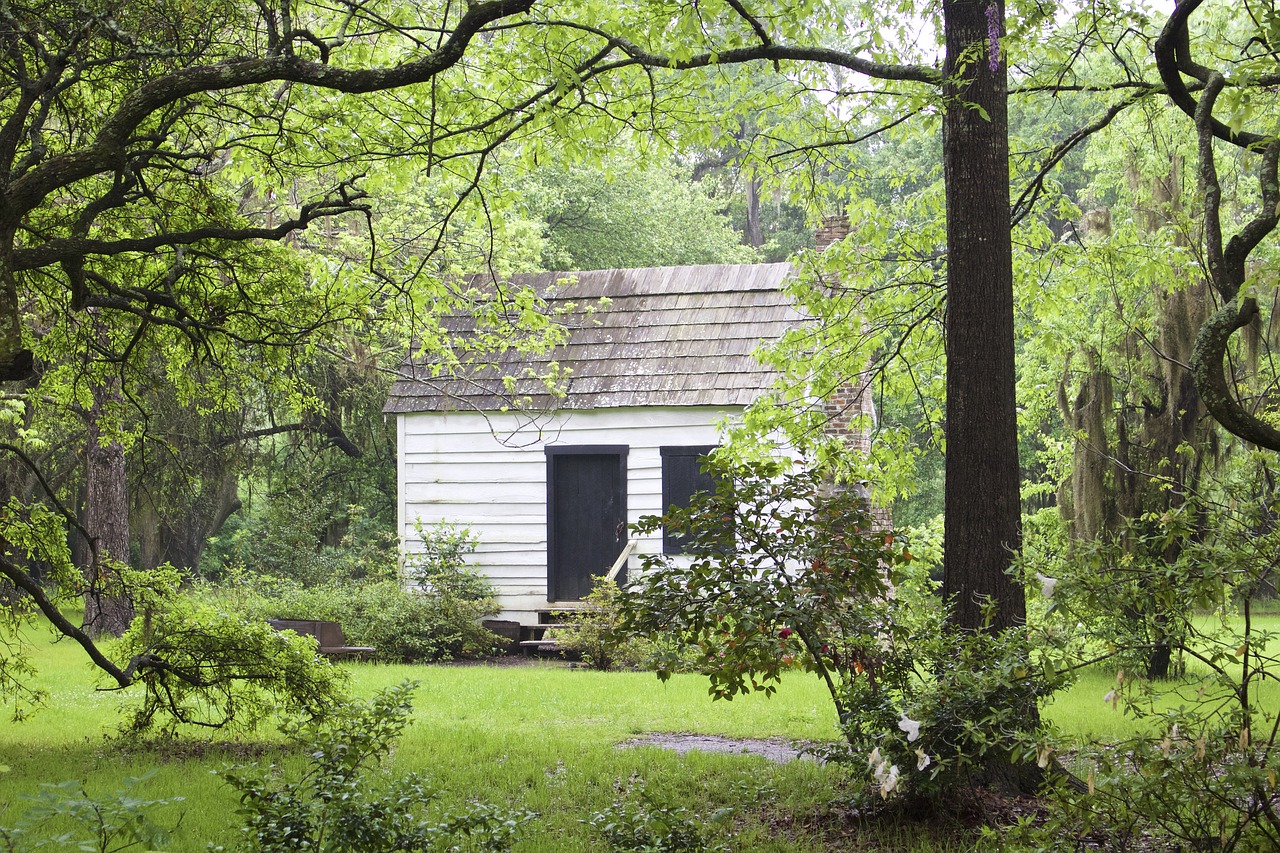 cabin  charleston  trees free photo