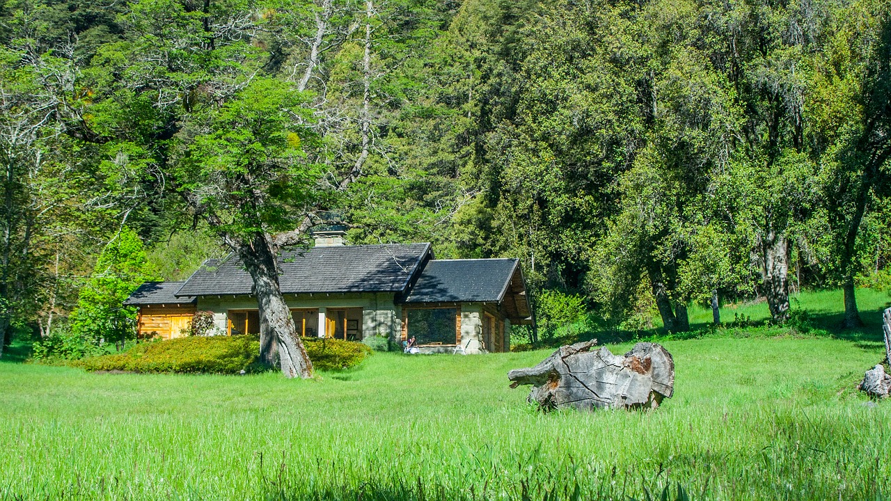 cabin  wood  landscape free photo