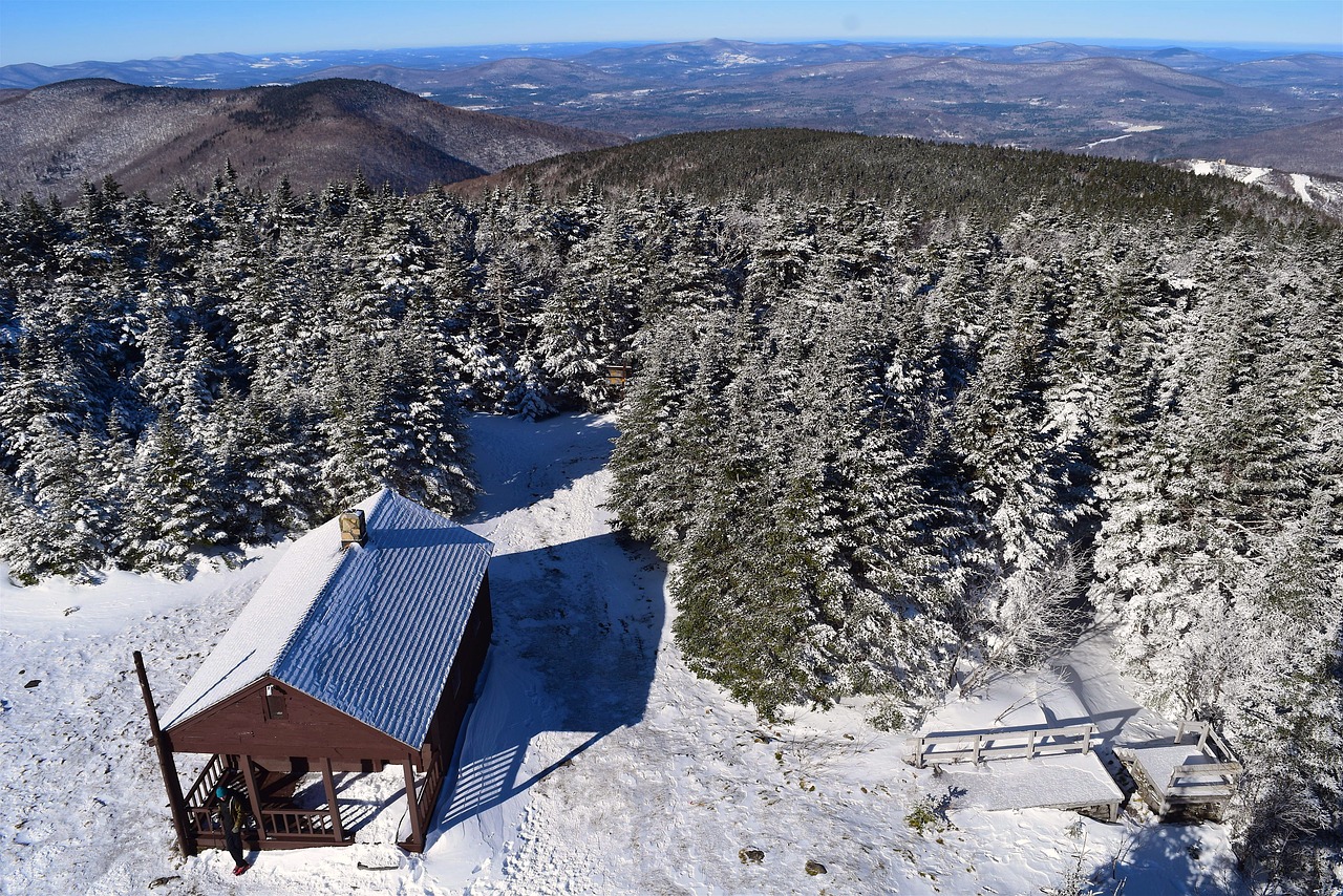 cabin  trees  mountains free photo