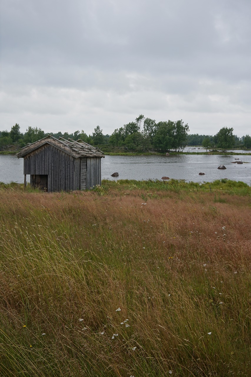 cabin  nature  isolation free photo