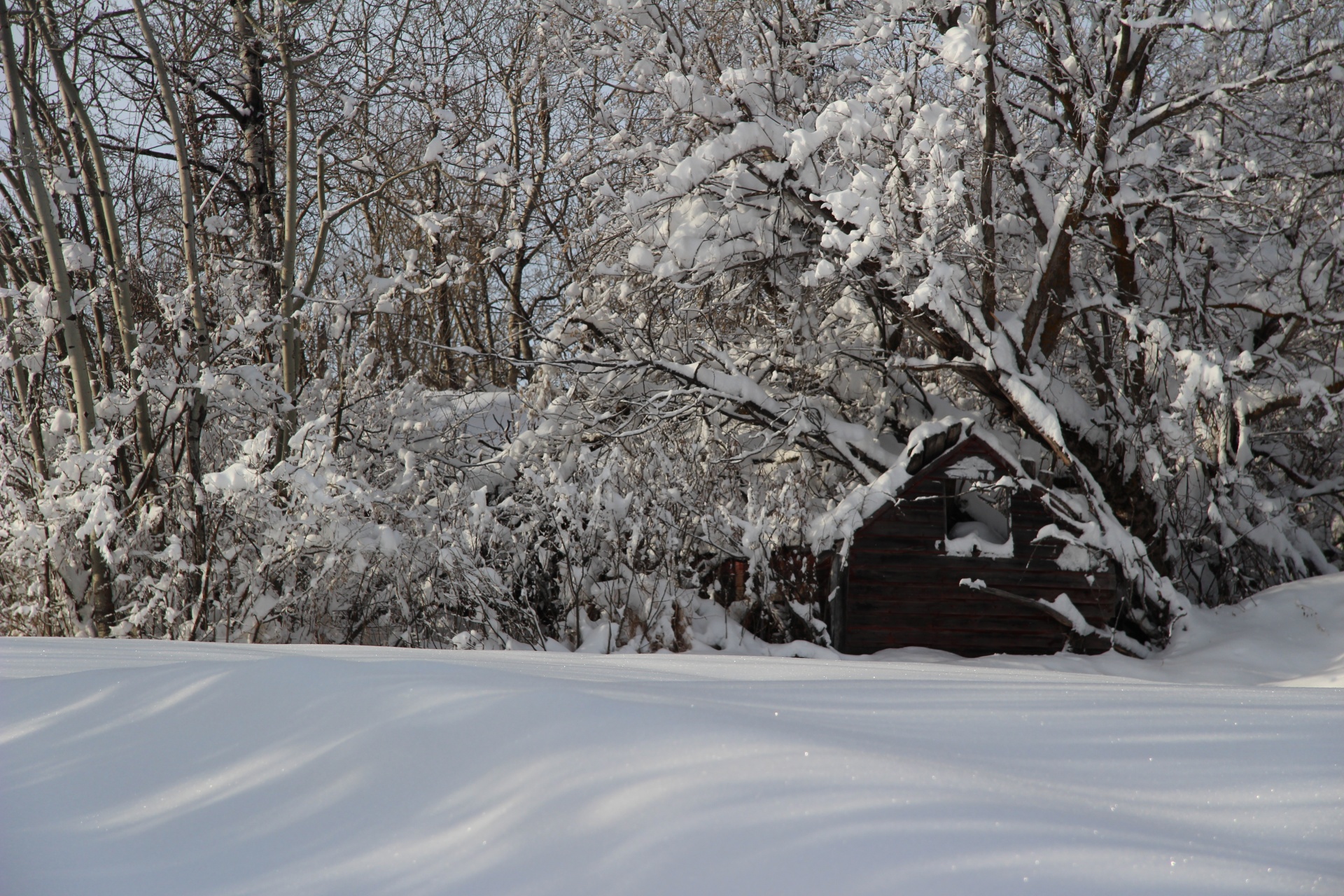 snow winter cabin free photo