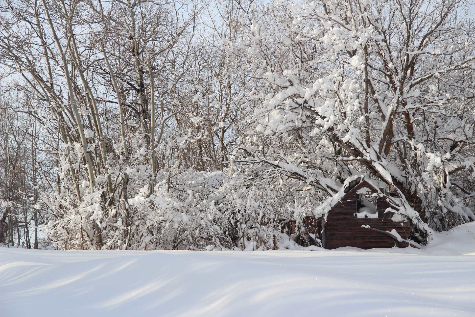 snow winter cabin free photo