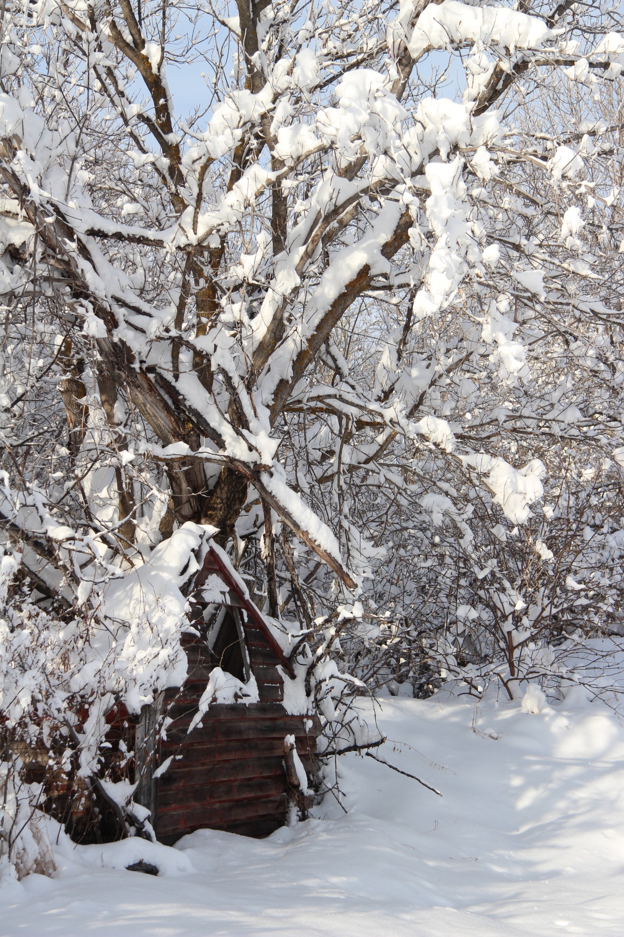 snow winter cabin free photo